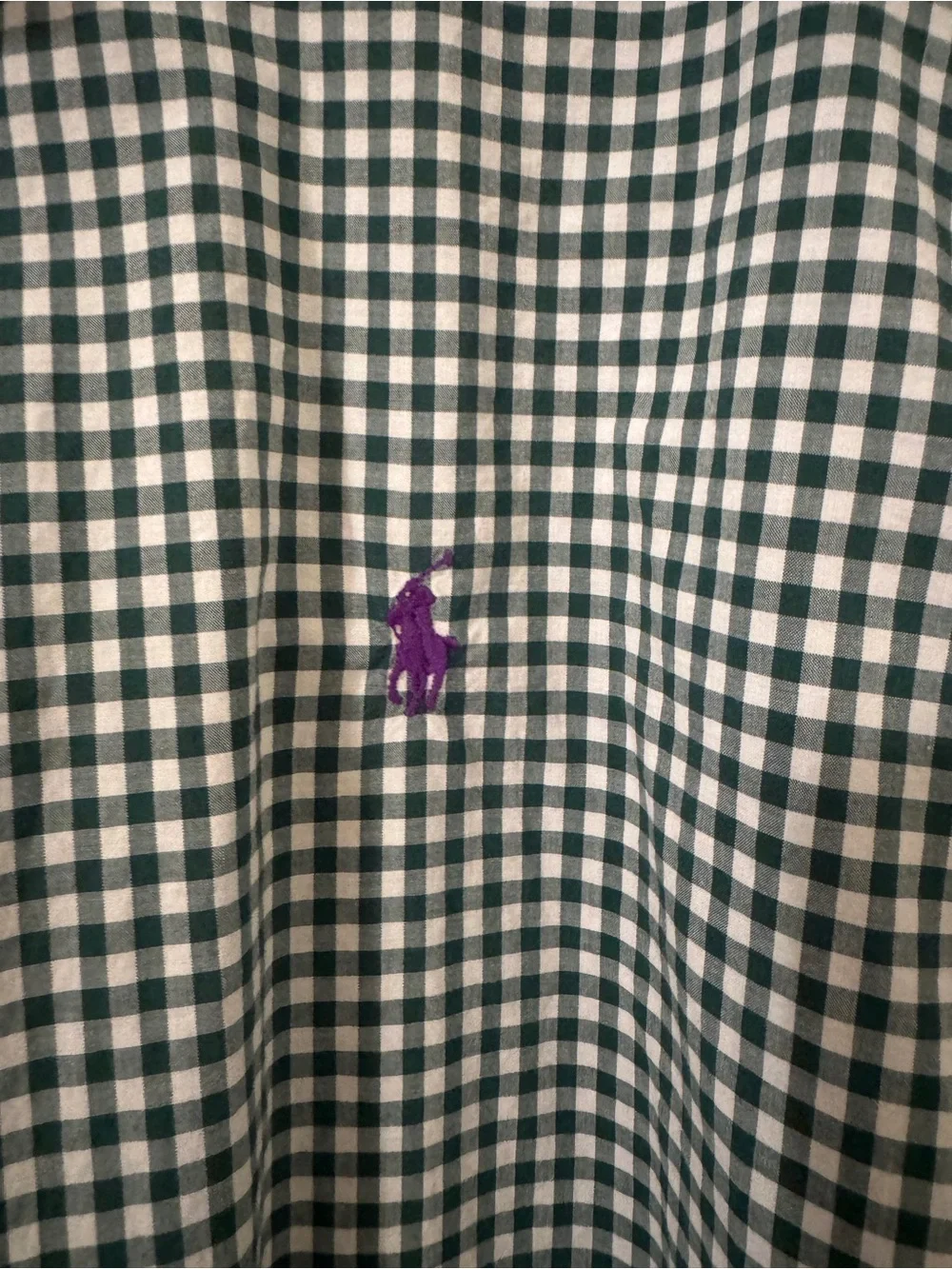Ralph Lauren Green & White Gingham Button-Down Shirt